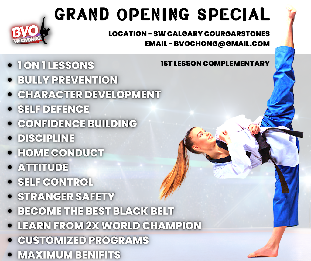 BVO Taekwondo Master Chong | Cougarstone Cir SW, Calgary, AB T3H 4W3, Canada | Phone: (403) 828-5571