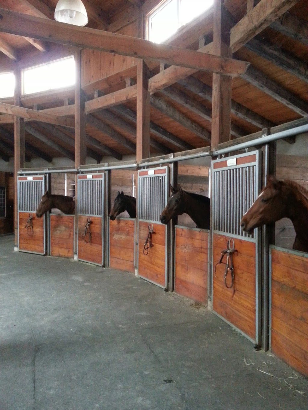 Hop Hill Stables | 342 Durham Regional Rd 8, Uxbridge, ON L9P 1R1, Canada | Phone: (905) 852-9457