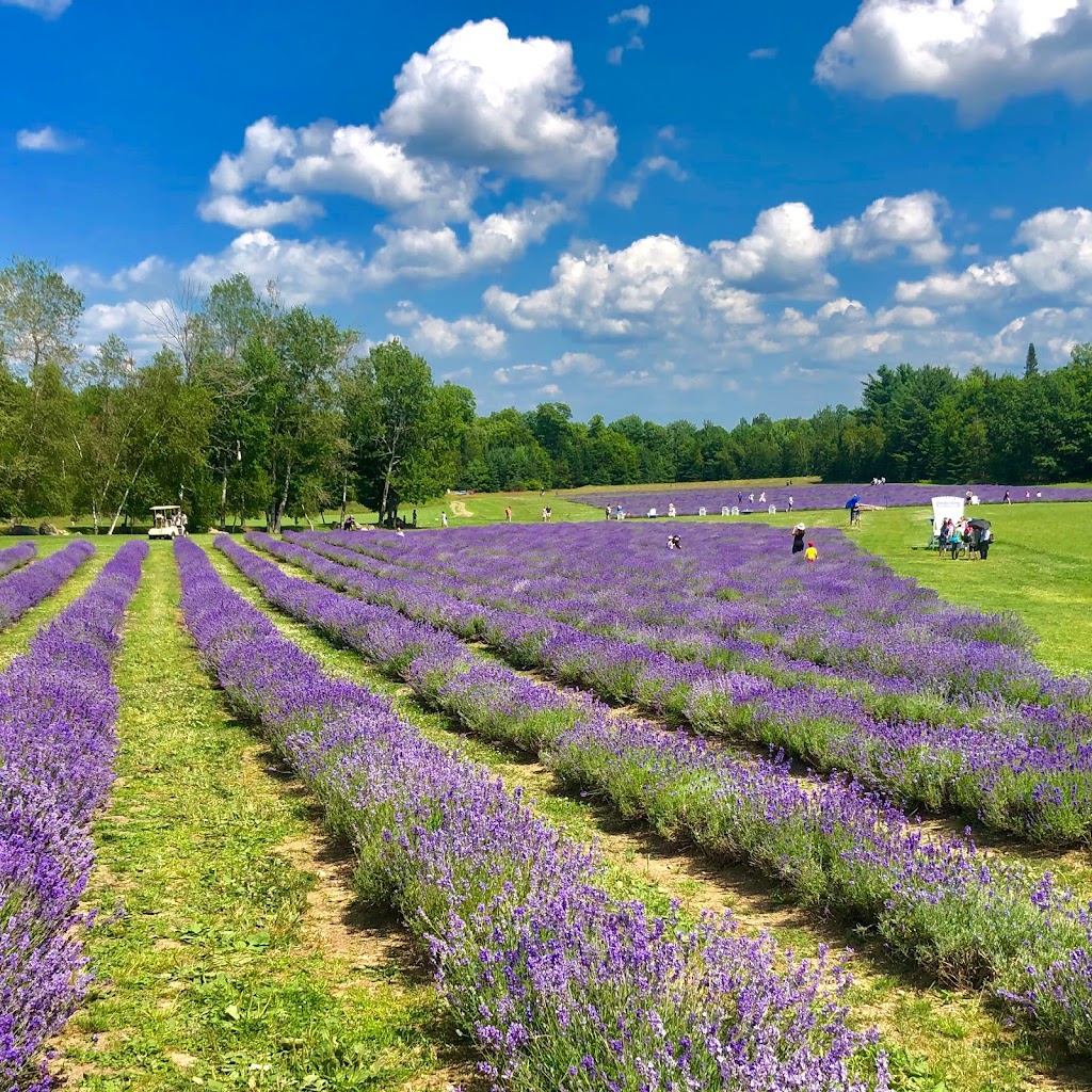 Bleu Lavande (Blue Lavender) | 2525 Rue Principale O, Magog, QC J1X 0J4, Canada | Phone: (819) 843-5857