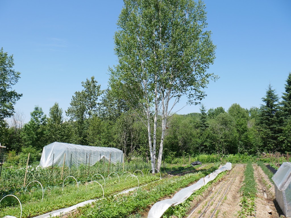 Microferme Notre vraie nature | Rang St Hilaire, Saint-André-du-Lac-Saint-Jean, QC G0W 2K0, Canada | Phone: (418) 630-1523