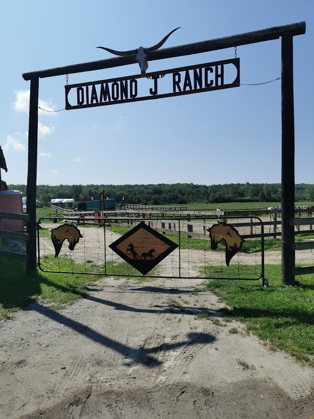 Diamond J Ranch | 11967 Loyalist Pkwy, Prince Edward, ON K0K 2T0, Canada | Phone: (613) 476-6474