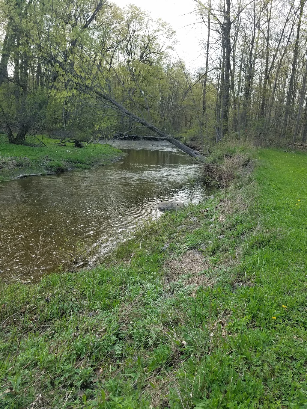 Creation Walk Nature Trail | 1400 Two Rod Rd, Marilla, NY 14102, USA | Phone: (716) 652-7429