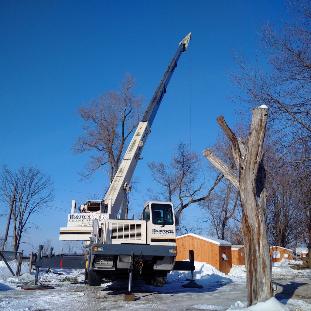 Babcock Crane Service | 19089 Kennedy Rd, Sharon, ON L0G 1V0, Canada | Phone: (416) 297-0212