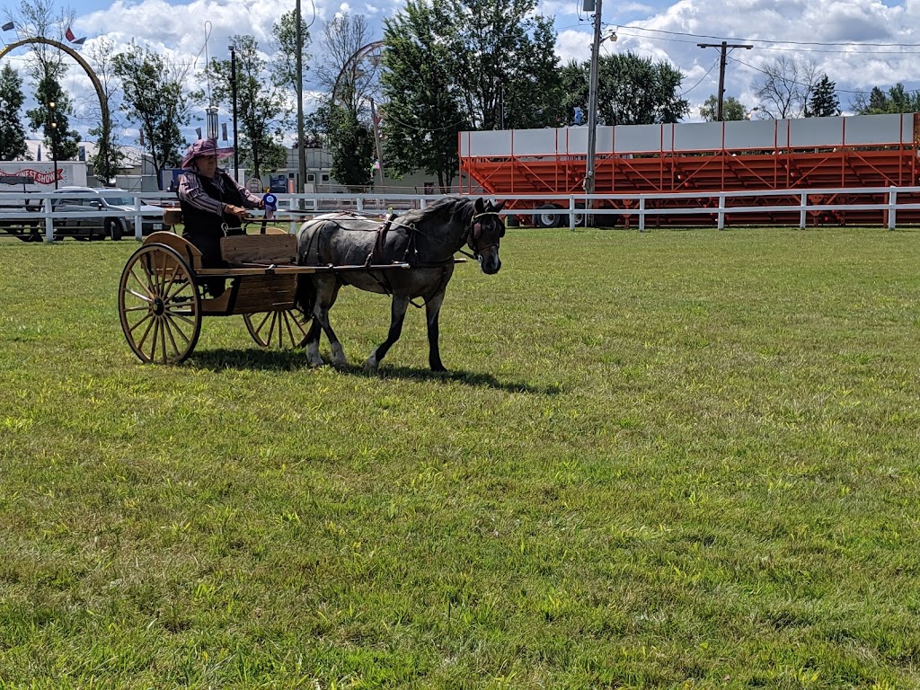 Sutton Fair and Horse Show | 3 Fairpark Ln, Sutton, ON L0E 1R0, Canada | Phone: (905) 722-3165