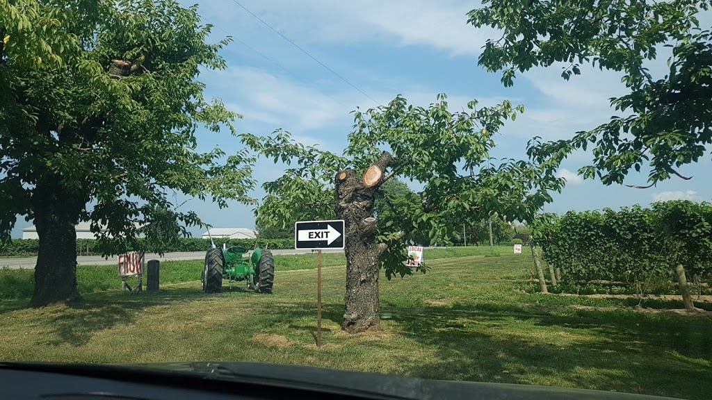 Local Menonite Fruit and Legumes | 1023 East and West Line, Niagara-on-the-Lake, ON L0S 1J0, Canada