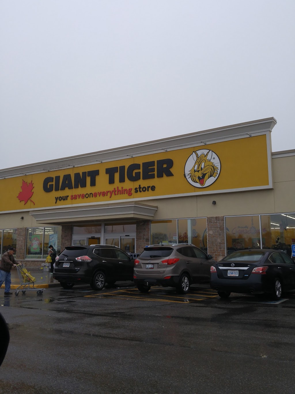 Giant Tiger | 2657 Lakefield Rd, Lakefield, ON K0L 6X5, Canada | Phone: (705) 876-7715