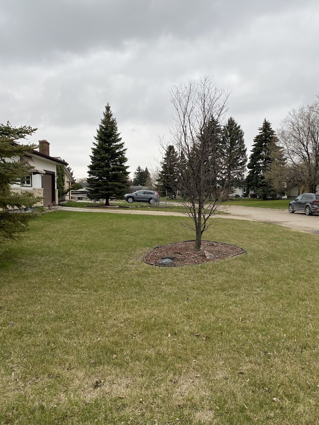 MC Next Level Lawns | 41 Marwood Crescent, Winnipeg, MB R2J 3H3, Canada | Phone: (204) 930-5054