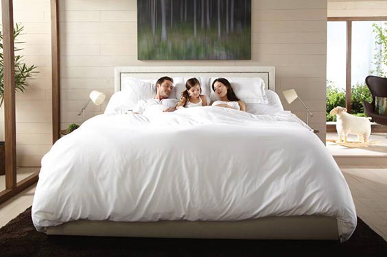 Comfort Night Mattress & Furniture | 2135 Lawrence Ave E, Scarborough, ON M1R 3A4, Canada | Phone: (416) 757-1600