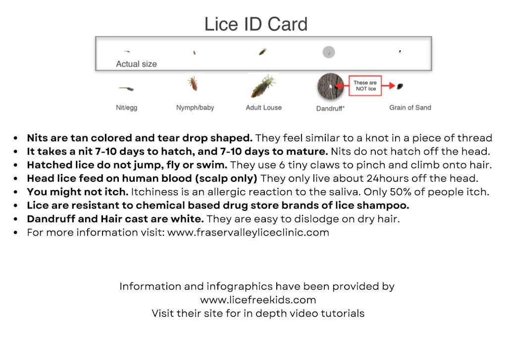 Fraser valley lice clinic | 1636 Vimy Rd, Agassiz, BC V0M 1A2, Canada | Phone: (604) 749-7497