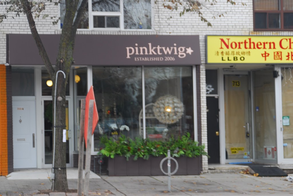 Pink Twig | 711 College St, Toronto, ON M6G 1C2, Canada | Phone: (416) 537-7465