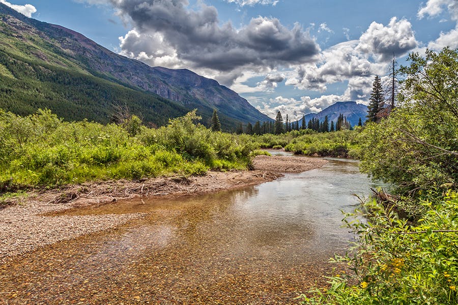 Castle Provincial Park | Ohagen Rd, Hillcrest Mines, AB T0K 1C0, Canada | Phone: (403) 627-1165