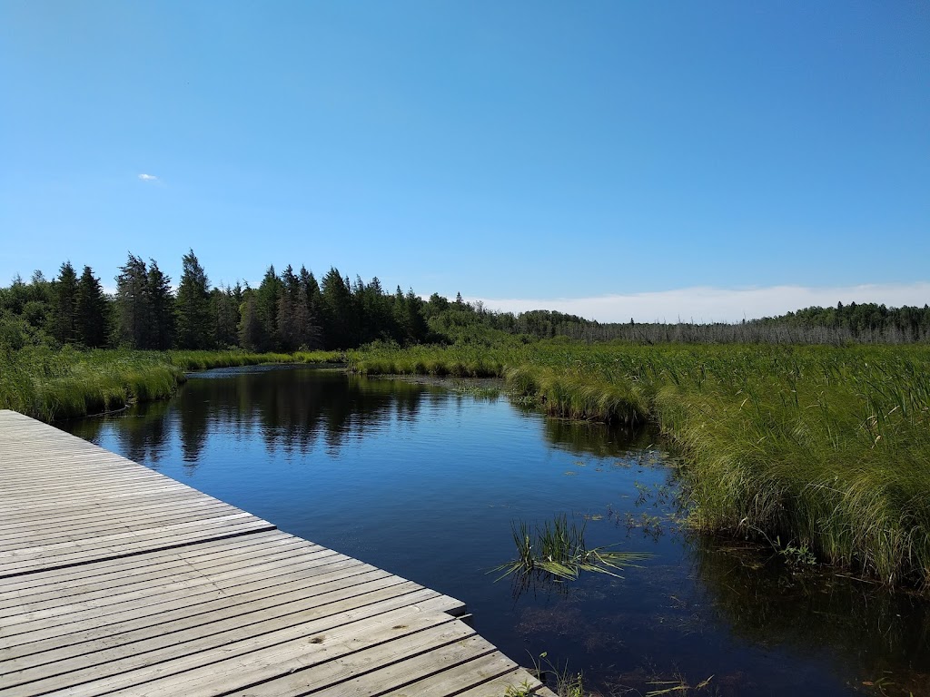 Falcon Lake Beach Campground | Manitoba R0E 2H0, Canada | Phone: (800) 214-6497