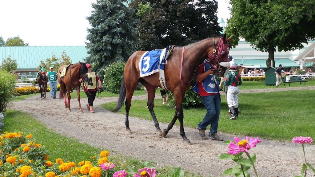 Fort Erie Race Track | 230 Catherine St, Fort Erie, ON L2A 5N9, Canada | Phone: (905) 871-3200