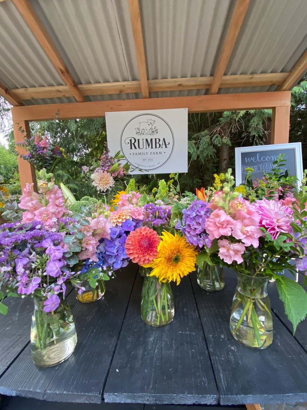 Rumba Family Farm | 3469 Stellar Pl, Roberts Creek, BC V0N 2W1, Canada | Phone: (604) 989-1987