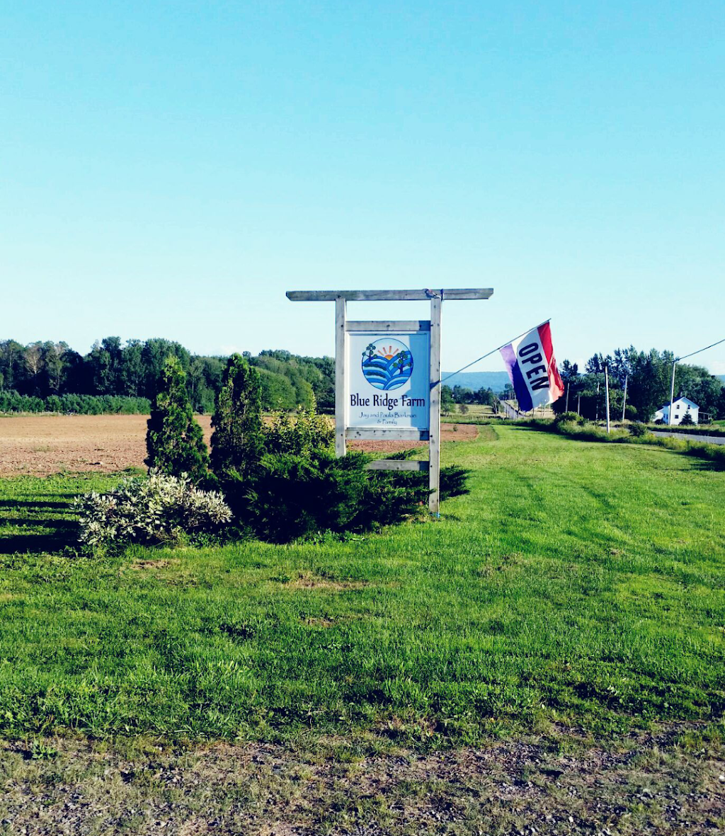 Blue Ridge Farm | 220 Arnold Rd, Waterville, NS B0P 1V0, Canada | Phone: (902) 691-1945