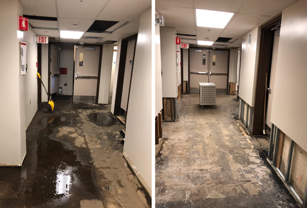 Water Damage Toronto | 111 Raglan Ave, York, ON M6C 2K9, Canada | Phone: (416) 479-8606