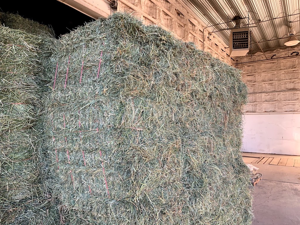 Boot Hay Farms Ltd | 85034 RR245, Monarch, AB T0L 1M0, Canada | Phone: (403) 330-3027