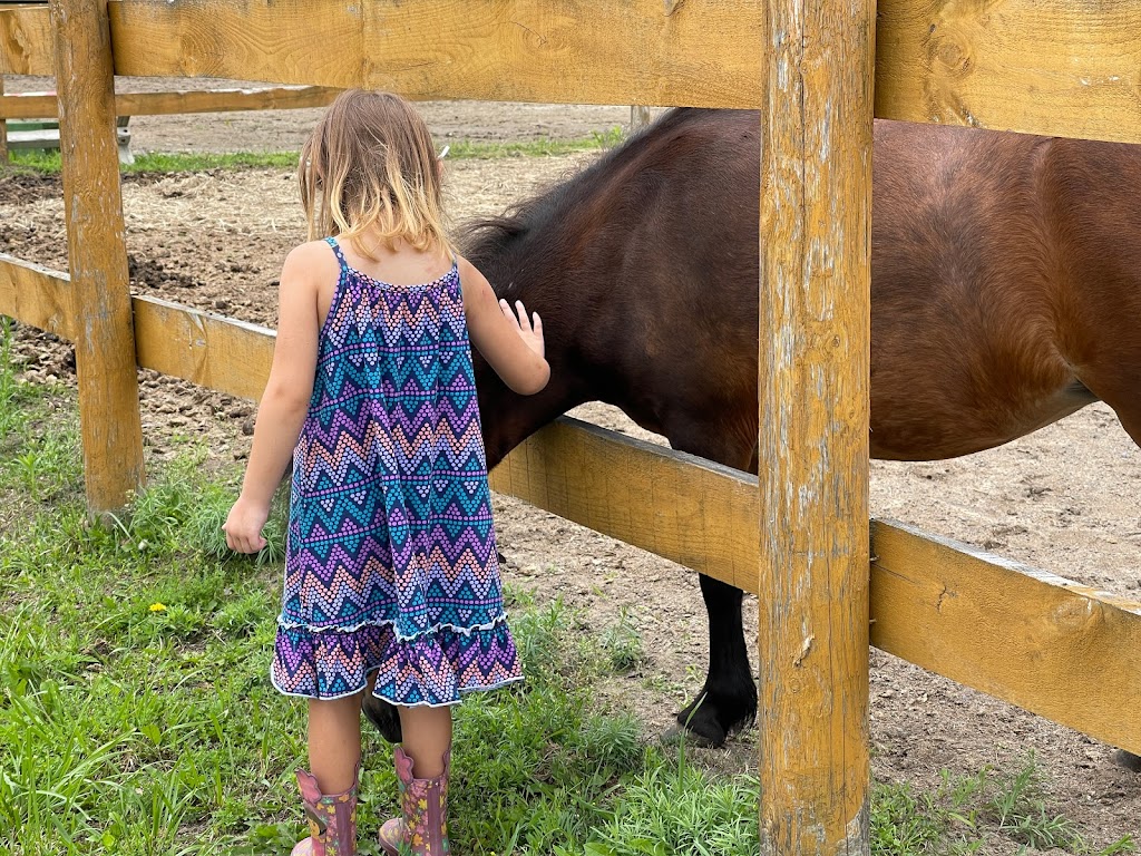 Queenswood Stables | 518 Smith Rd, Navan, ON K4B 1H8, Canada | Phone: (613) 835-2085