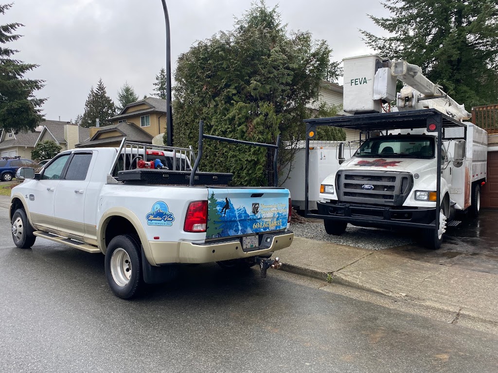 Mountain View Tree Service Inc. | 21092 Stonehouse Ave, Maple Ridge, BC V2X 8L9, Canada | Phone: (604) 615-6855