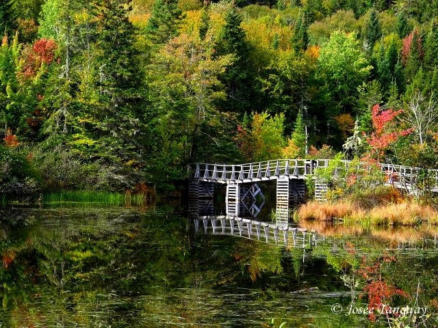 Marais du Nord (Les) | 1100 Chemin de la Grande Ligne, Stoneham-et-Tewkesbury, QC G3C 0Y1, Canada | Phone: (418) 841-4629