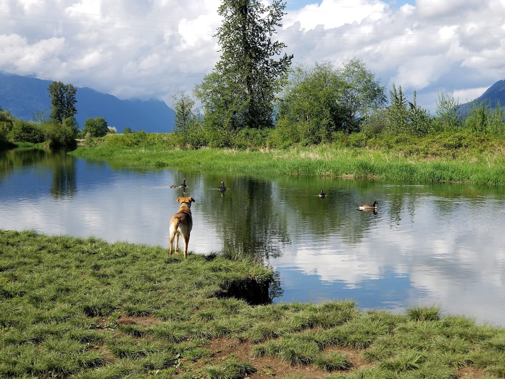 Jerry Sulina Park | Maple Ridge, BC V4R 2R9, Canada