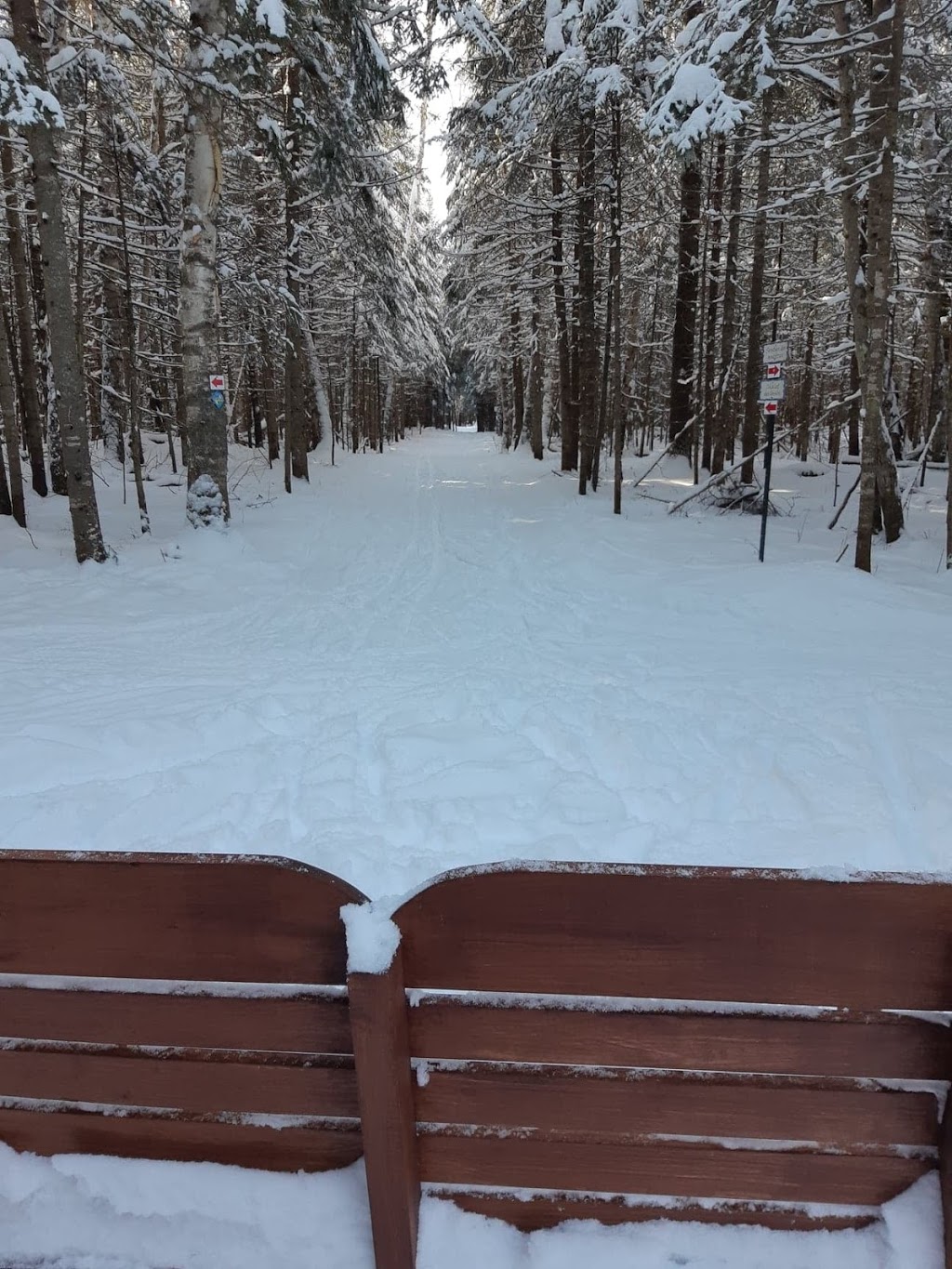 Chalet des loisirs Saint-Zénon | 80 Rue du Collège, Saint-Zénon, QC J0K 3N0, Canada | Phone: (450) 884-5987