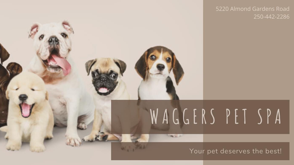 Waggers Pet Spa | 5220 Almond Gardens Rd, Grand Forks, BC V0H 1H4, Canada | Phone: (250) 442-2286