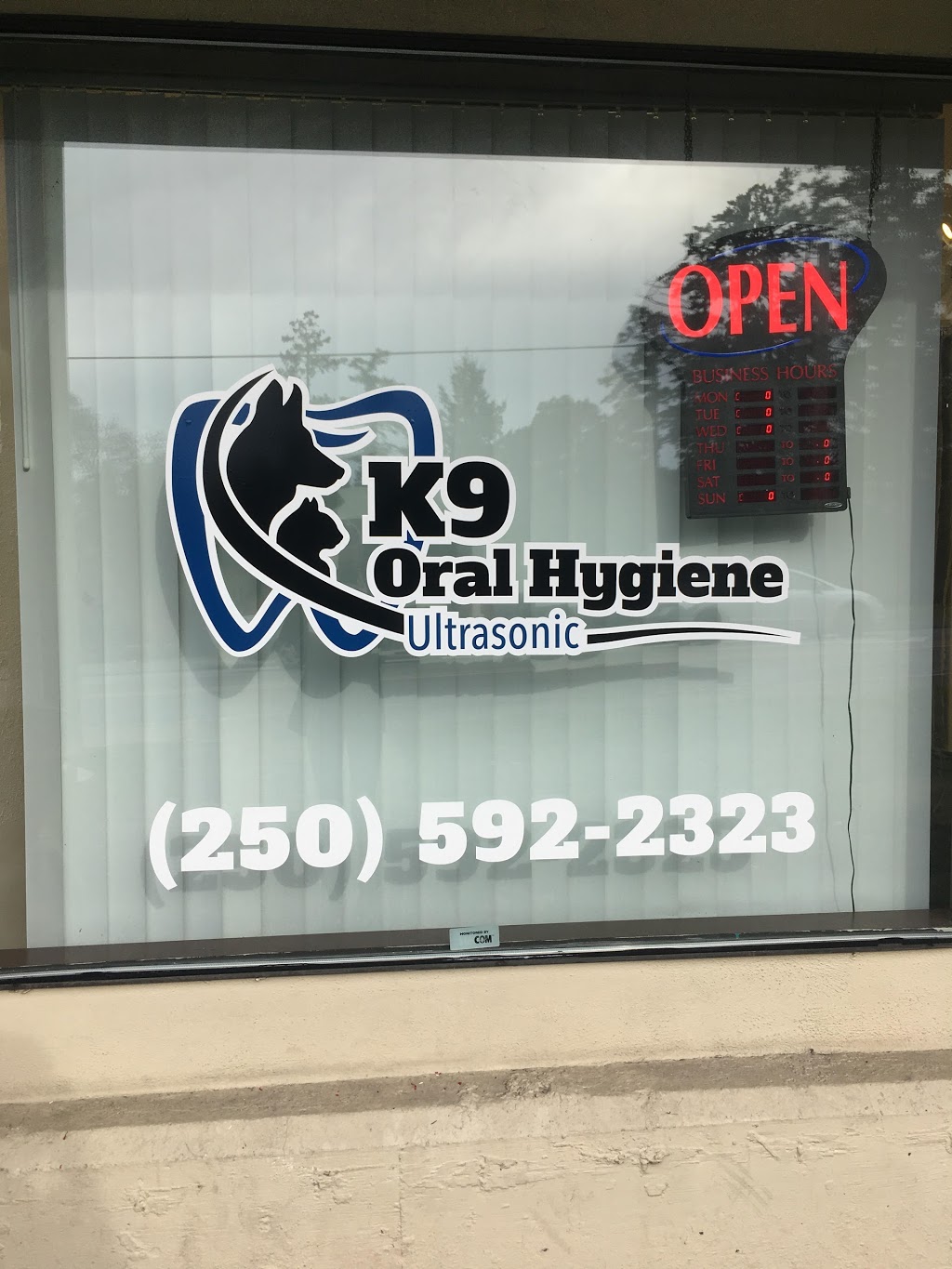 K9 Oral Hygiene | 300 Gorge Rd W #102, Victoria, BC V9A 1M8, Canada | Phone: (250) 592-2323