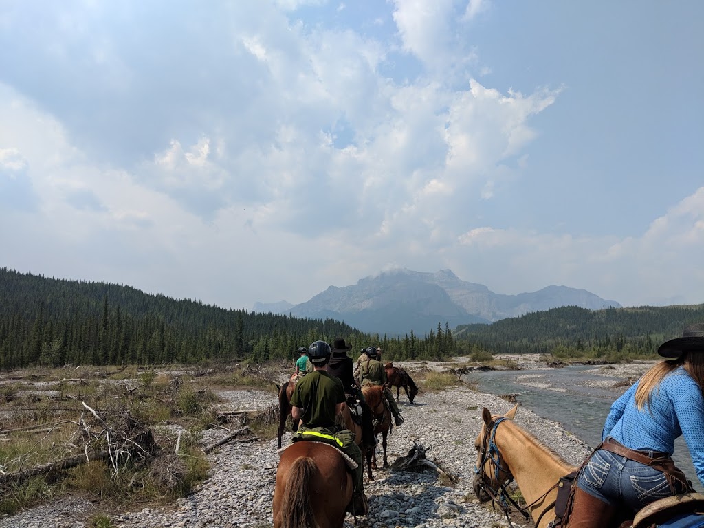 Trappers Hill Campground | Township Rd 265A, Bighorn No. 8, AB T0L, Canada | Phone: (403) 851-0074