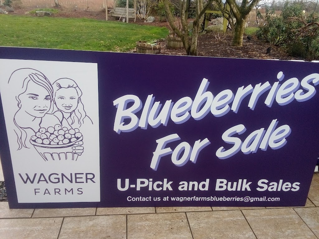 Wagner Blueberry Farm | 13568 Harris Rd, Pitt Meadows, BC V3Y 2T3, Canada | Phone: (604) 377-0380