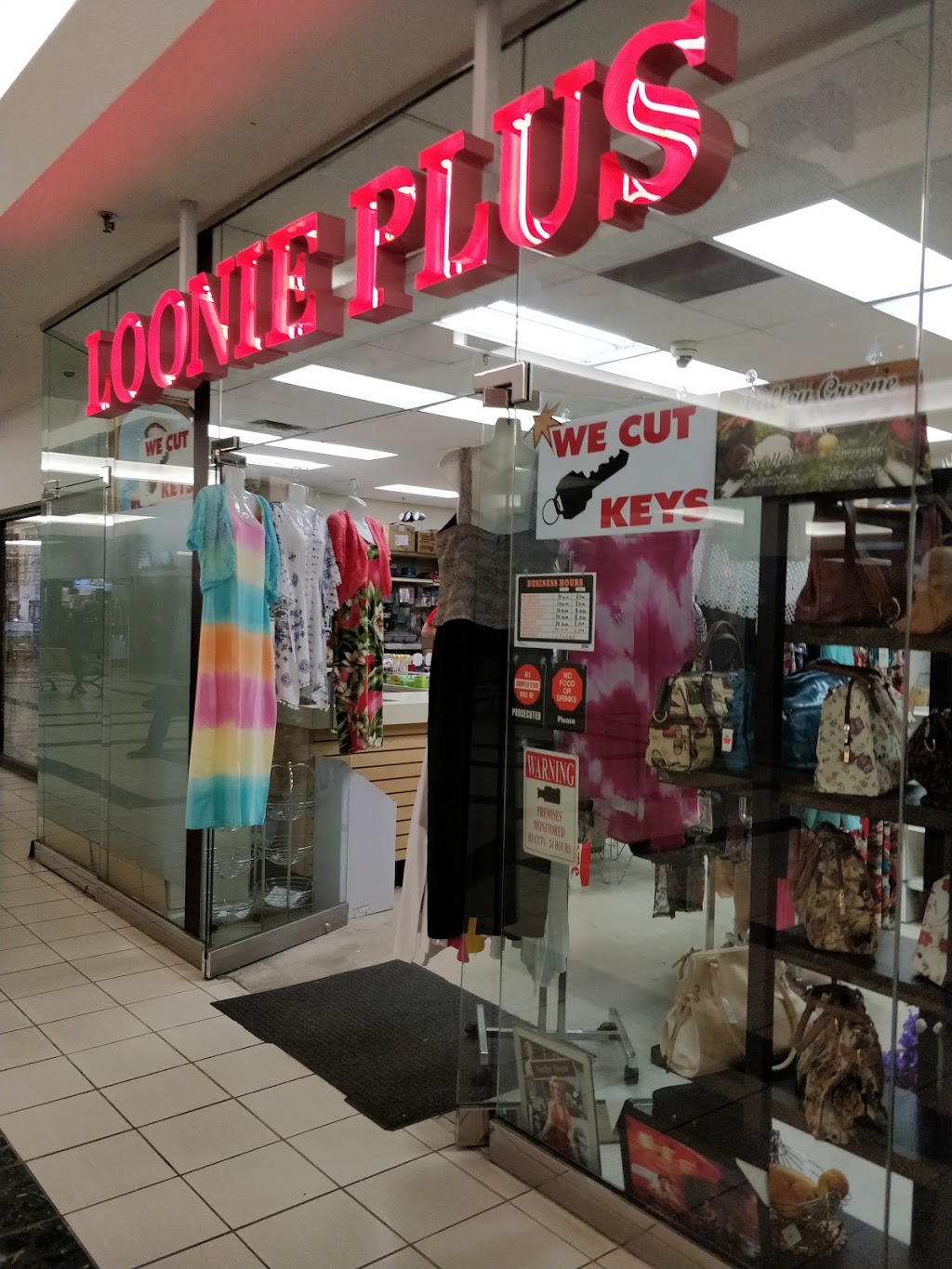 Loonie Plus | 377 Burnhamthorpe Rd E, Mississauga, ON L5A 3Y1, Canada | Phone: (905) 277-1767