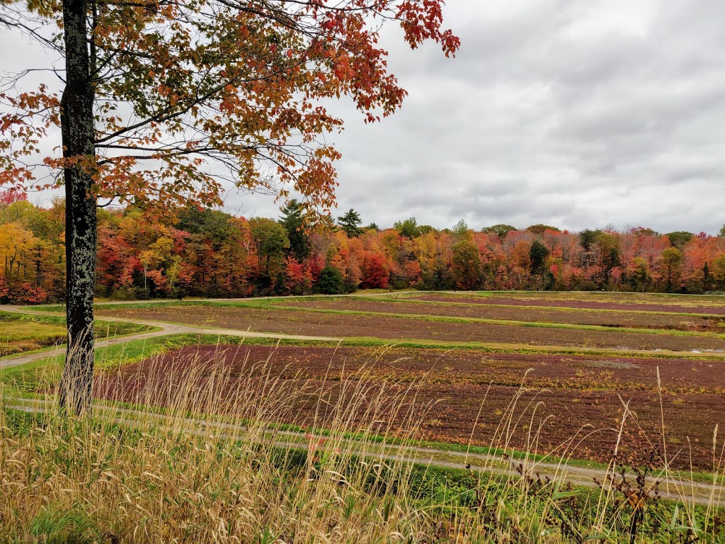 Muskoka Lakes Farm & Winery | 1074 Cranberry Rd, Bala, ON P0C 1A0, Canada | Phone: (705) 762-3203