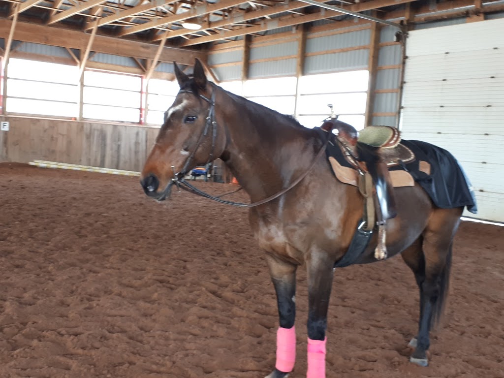 Riverview Stables | 8115 Wellington County Rd 18, Fergus, ON N1M 2W5, Canada | Phone: (519) 803-9413