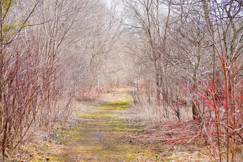 Lawson Trail | Lawson Trail, Ingersoll, ON N5C 2K8, Canada