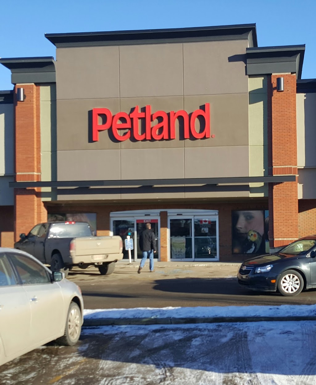 Petland | South Park 556, 3803 Calgary Trail NW, Edmonton, AB T6J 5M8, Canada | Phone: (780) 436-7387