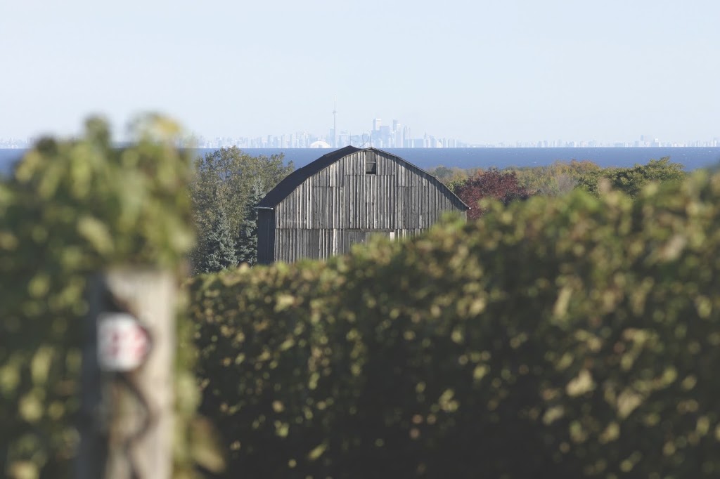 Cave Spring Vineyard - Winery Tasting Room | 3836 Main St #5, Jordan Station, ON L0R 1S0, Canada | Phone: (905) 562-3581