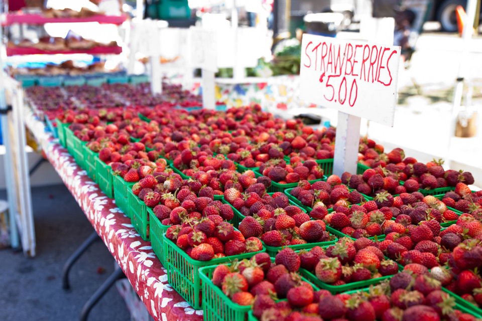 Whitchurch-Stouffville Strawberry Festival | Stouffville Memorial Park, Whitchurch-Stouffville, ON L4A 1G5, Canada | Phone: (905) 642-3779