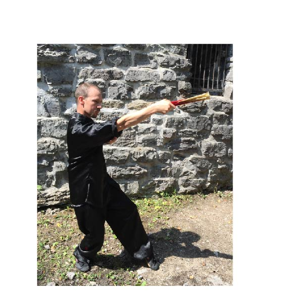 Kung Fu Ottawa I Choy Lee Fut Kung Fu | 1606 Fisher Ave, Ottawa, ON K2C 1X8, Canada | Phone: (613) 552-0972