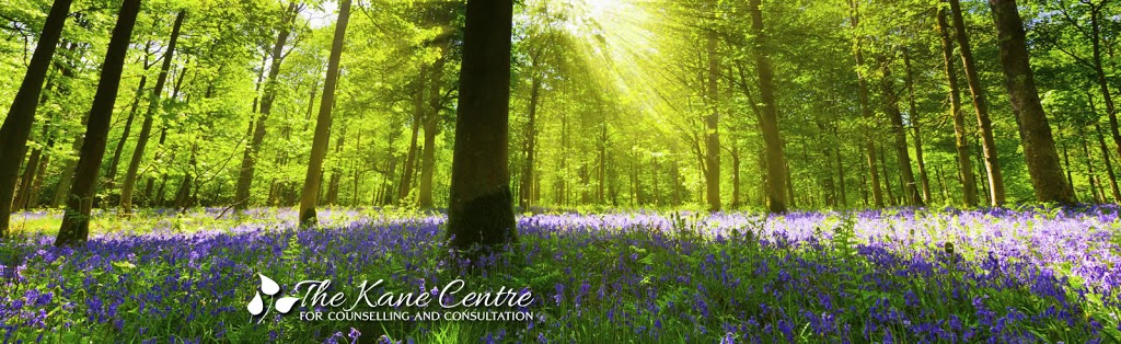The Kane Centre for Counselling and Consultation | 330 Trillium Dr a1, Kitchener, ON N2E 3J2, Canada | Phone: (226) 499-9755