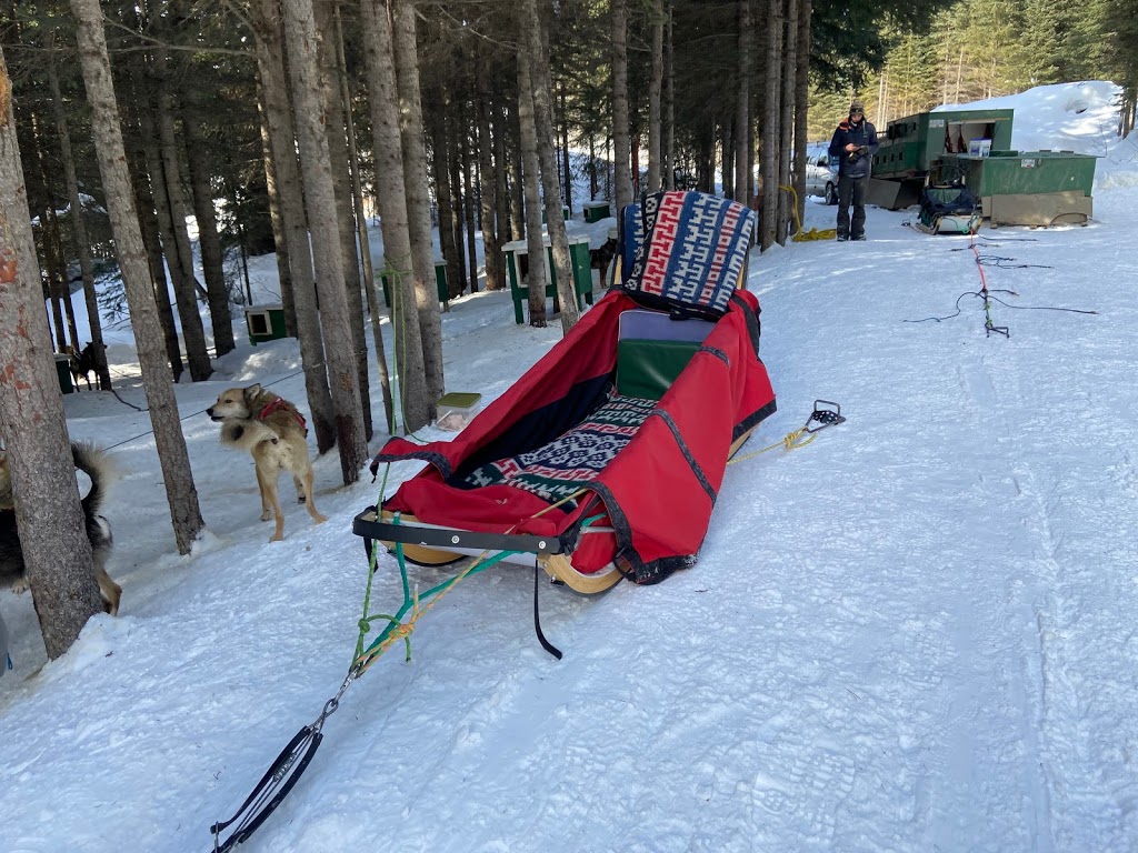 Mountain Man Dog Sled Adventures | 3250 Village Way, Sun Peaks, BC V0E 5N0, Canada | Phone: (250) 319-7205