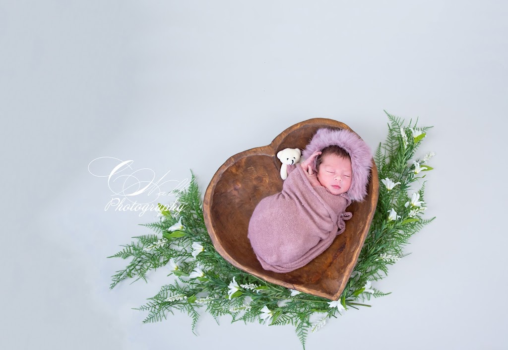 Christina Wall Photography | 880 Findley Rd, Upper Kennetcook, NS B0N 2L0, Canada | Phone: (902) 957-0790