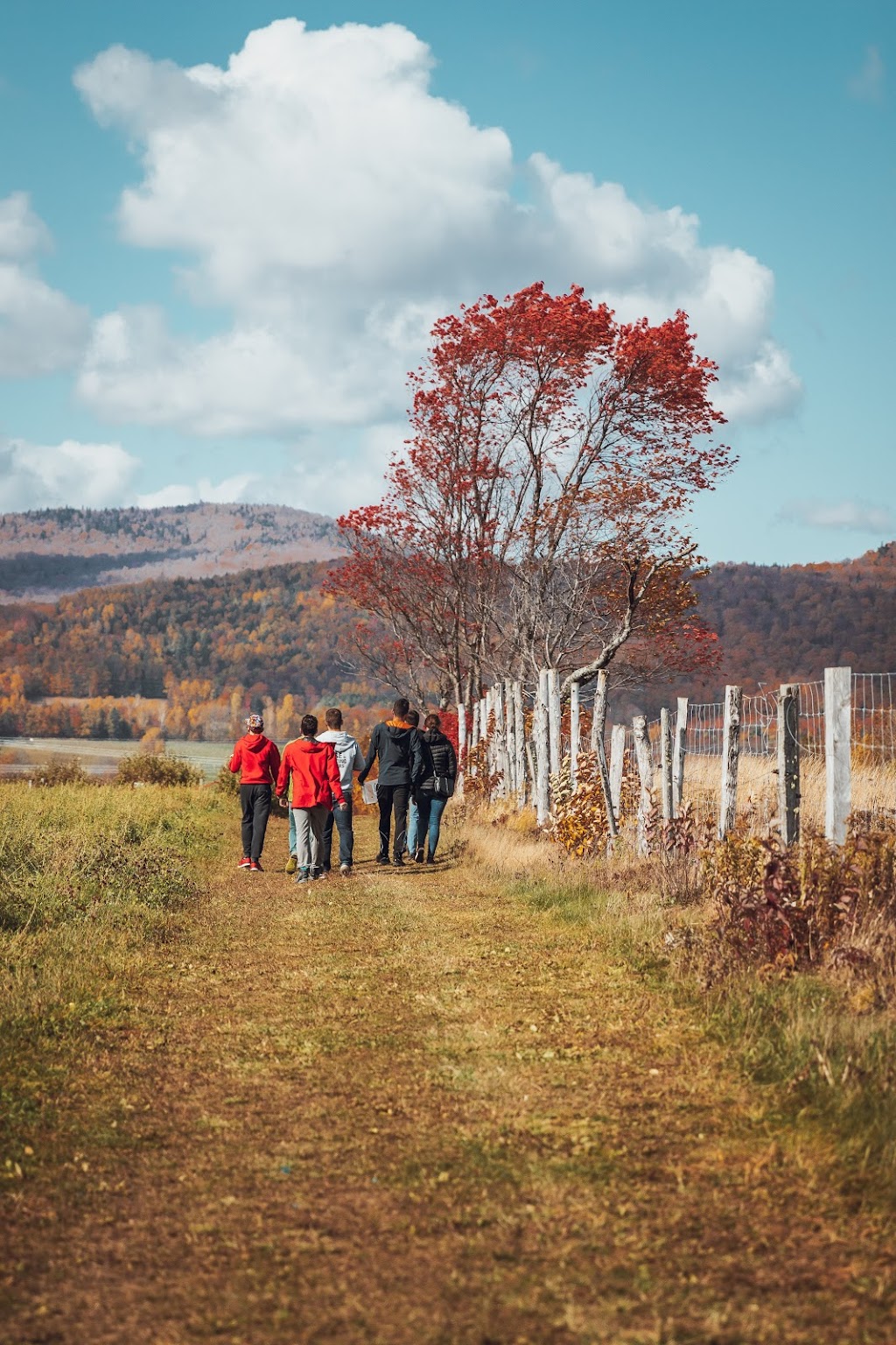 Verger Sainte-Anne | 315 Côte Sainte-Anne, Sainte-Anne-de-Beaupré, QC G0A 3C0, Canada | Phone: (418) 570-2808