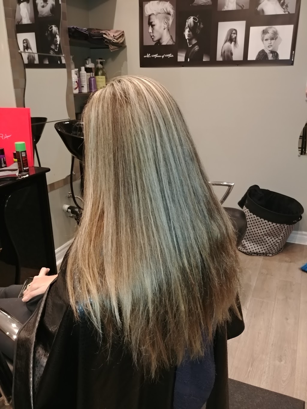 Ms House of Hair | 54 Oak Crescent, Hagersville, ON N0A 1H0, Canada | Phone: (905) 520-9148