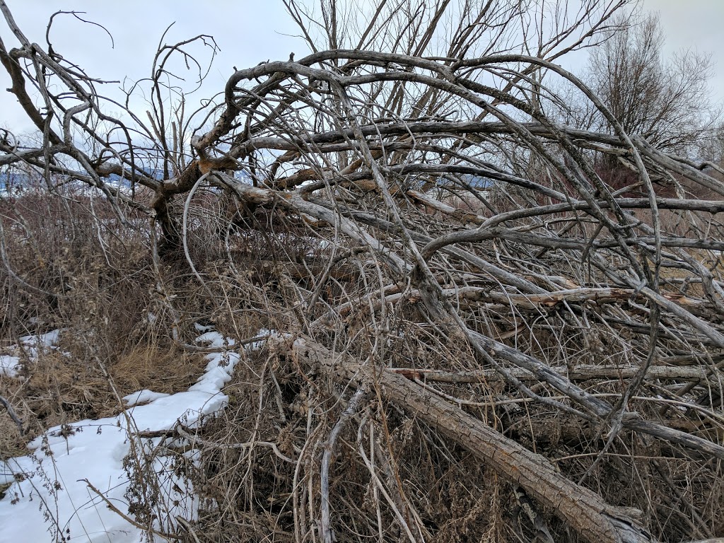 Munson Pond Park | South Pandosy - K.L.O., Kelowna, BC V1W, Canada