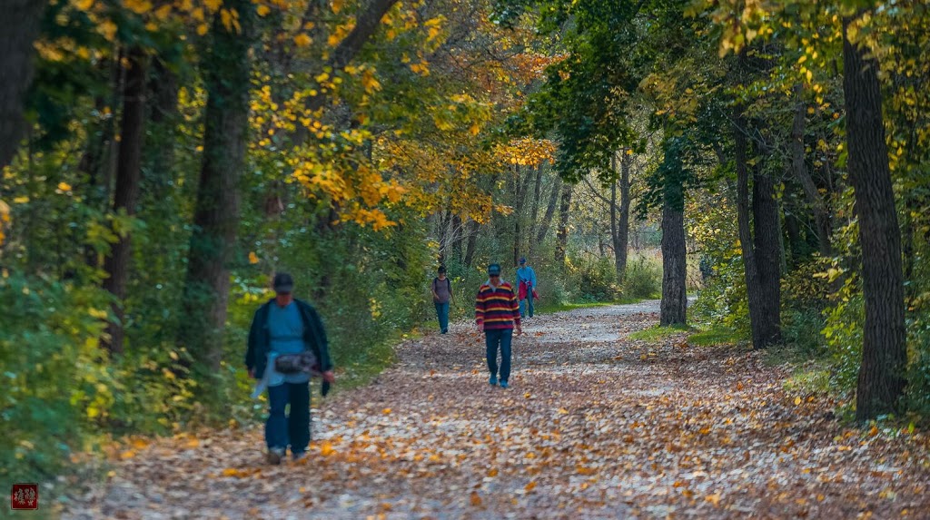 Riverwood Park | Canada, Ontario, Mississauga, Ontario, Mississauga Burnhamthorpe Rd W 邮政编码:邮政编码: L5C 2S7