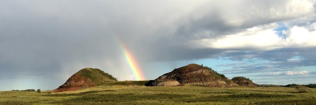 LaPrairieaire EcoTourism | RR1, Donalda, AB T0B 1H0, Canada | Phone: (403) 860-1313