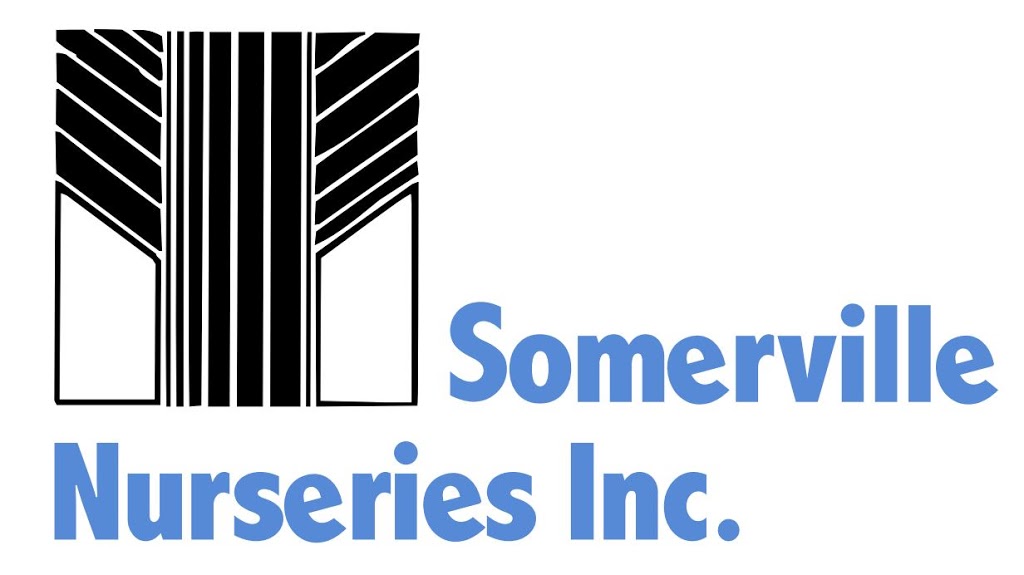 Somerville Nurseries Inc. | 5884 County Rd 13, Everett, ON L0M 1J0, Canada | Phone: (705) 435-6258