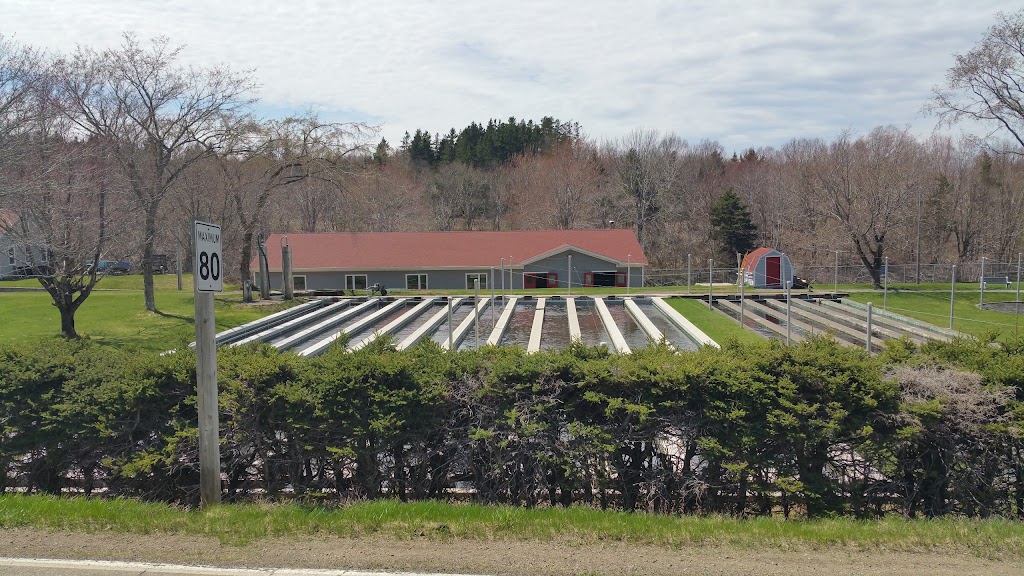 Frasers Mills Fish Hatchery | 1158 Old Pinevale Rd, Saint Andrews, NS B0H 1X0, Canada | Phone: (902) 783-2926