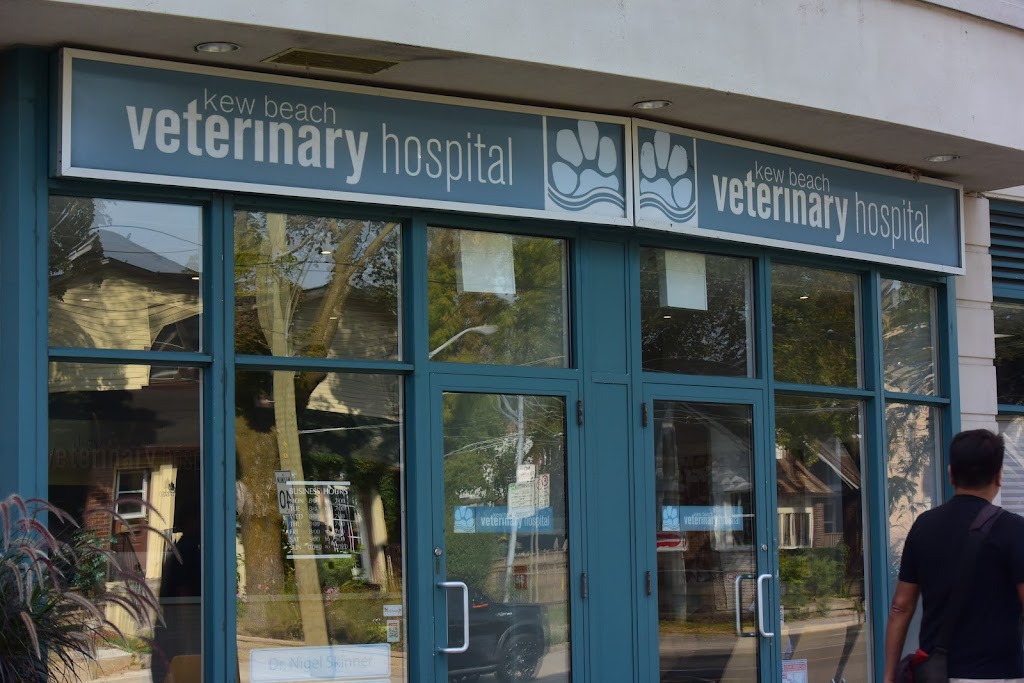Kew Beach Veterinary Hospital | 1737 Queen St E, Toronto, ON M4L 6S5, Canada | Phone: (416) 778-4598