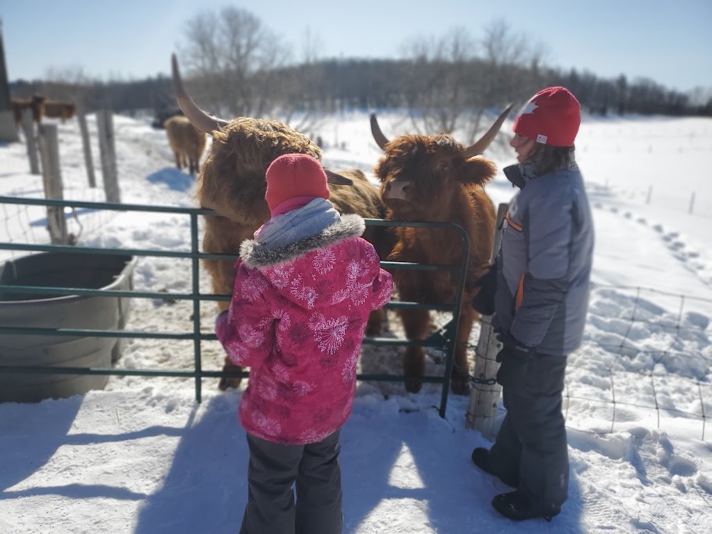 Ferme LAventure | 6 Chem. Mccrank, Low, QC J0X 2C0, Canada | Phone: (819) 422-1770